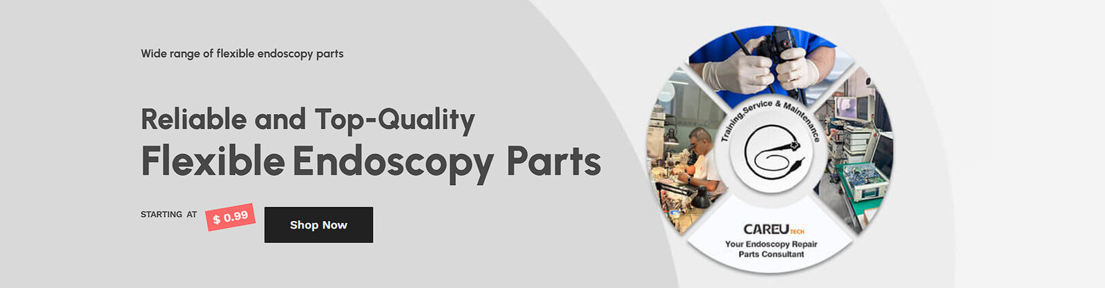 Flexible Endoscope Repair Tool